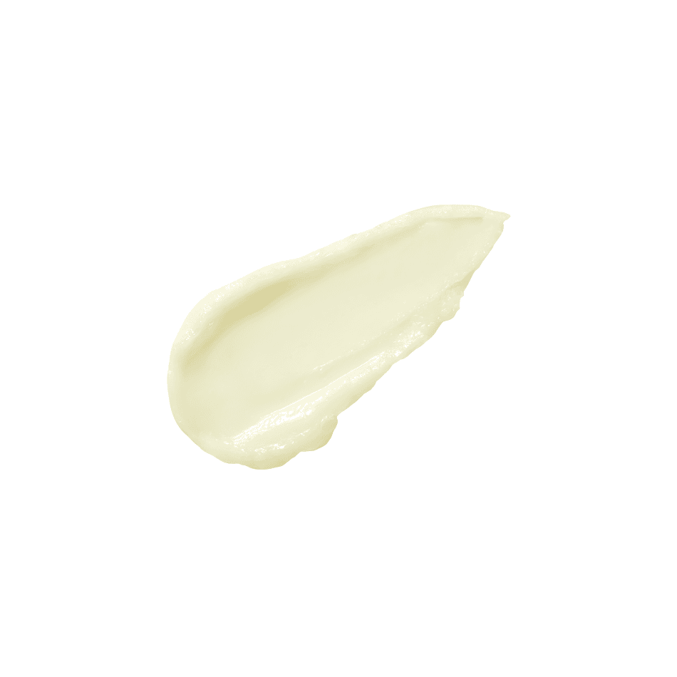 STICK SUNSCREEN 100