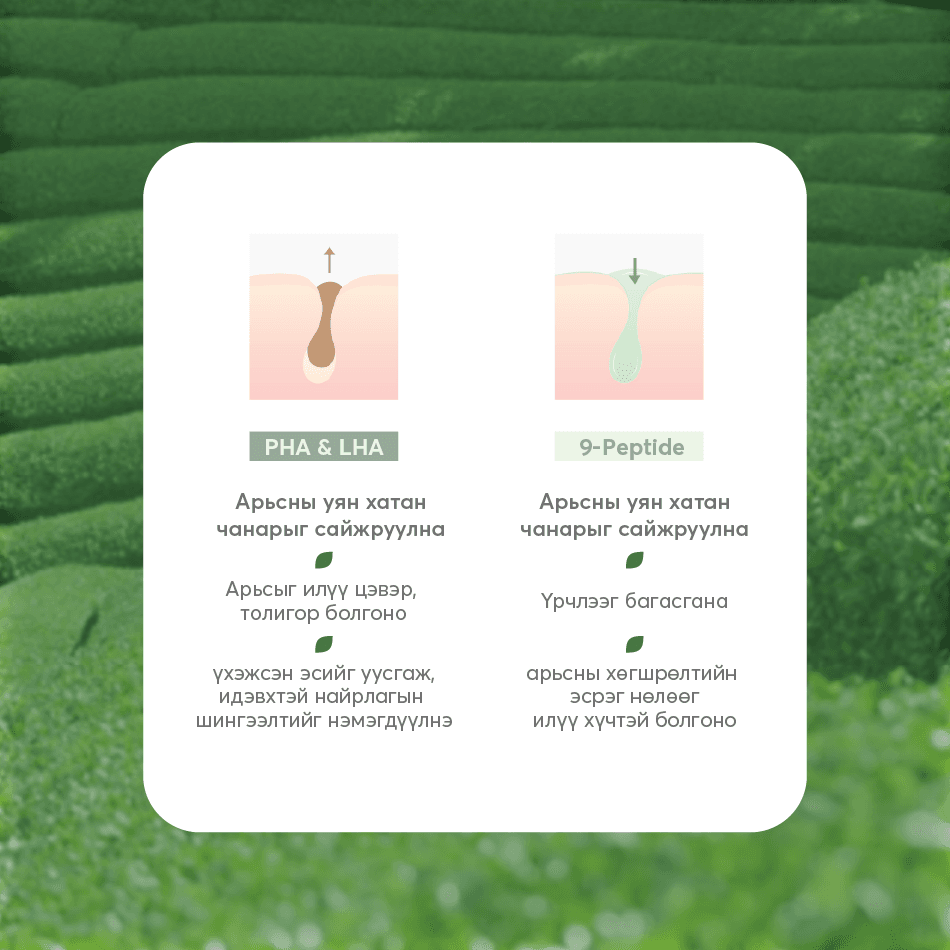 JEJU MATCHA ESSENCE