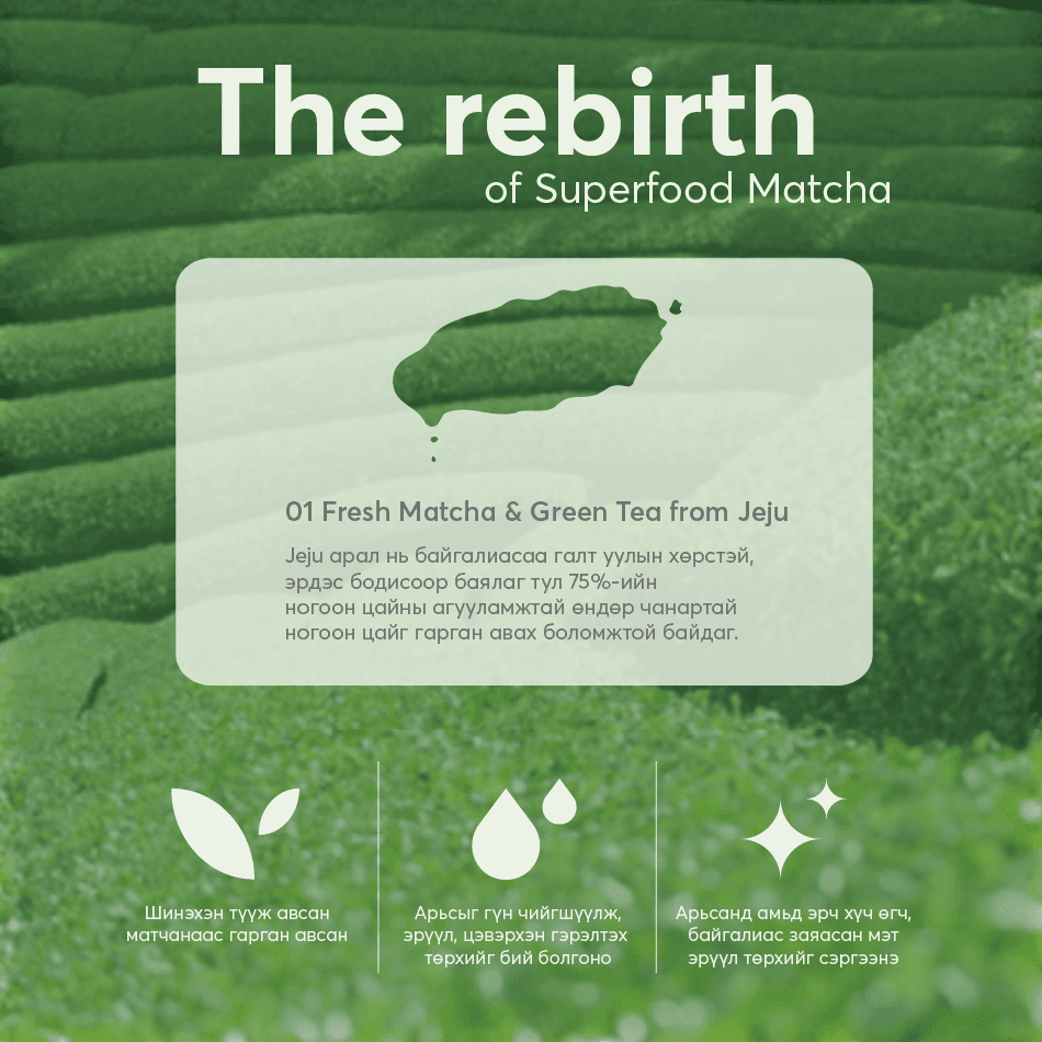 JEJU MATCHA ESSENCE