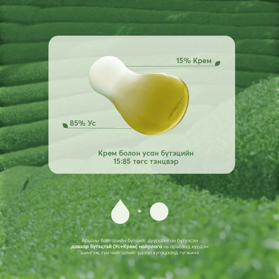 JEJU MATCHA ESSENCE